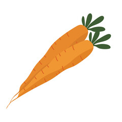 Carrot vegetable flat icon vector illustration, wortel vegetables in cartoon style