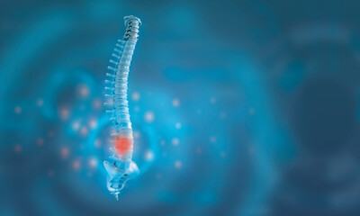 human spine body part person people blue element copy space background medical vertebra health...