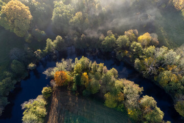 Aerial view of misty morning in October. Deciduous trees in autumn colors seen from above, bird's eye view. Nature photography of forest, river and fog taken with a drone in Sweden.	