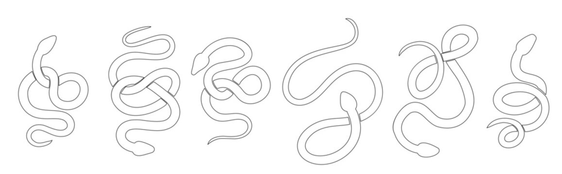 Vector set of black contour silhouettes of snakes in various poses. Collection of monochrome outline cobras and boas isolated from background.
