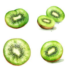 Watercolor Kiwi Fruit Illustration Isolated in Transparent Background