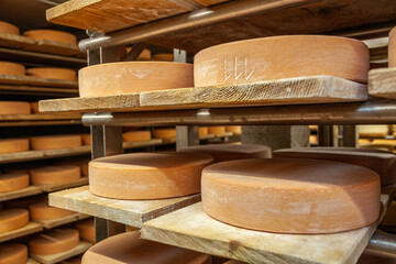 Shelves with cheeses in the cellar of an alpine pasture in the Alps in Switzerland - 635752293
