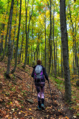Woman hiker walking on forest path