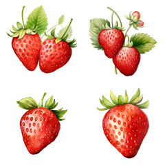 Watercolor Strawberry illustration Isolated in Transparent Background