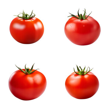 Set of Tomatoes with sepals (Solanum lycopersicum)Isolated in Transparent Background