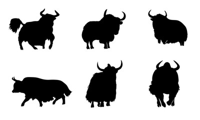 Set of silhouettes of yak or collection of yaks in silhouette style