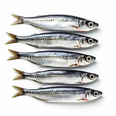 Fototapeta premium Sardines full fish isolated on white background top view 