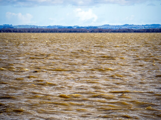 Polluted waters of Lake Waikare.  High trophic level index.
