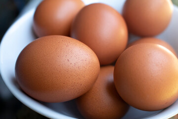 photo of the collected eggs with a close up view