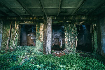 Fototapeta na wymiar Interior of old abandoned building in mold and overgrown with green plants.