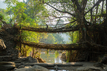 Meghalaya's iconic double-decker bridge, a masterpiece of nature's architecture.