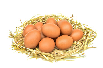 Eggs in a haystack arranged isolated on a white background rich in protein suitable for cooking