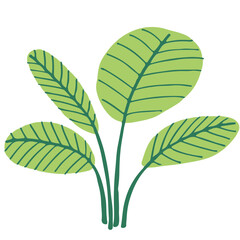 Plant flat illustration