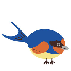 Swallow bird flat illustration