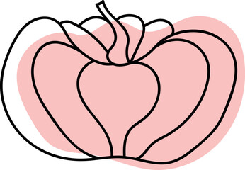 Autumn vector Pumpkin. Isolated Element for autumn design on white background. Harvest festival. Lineart