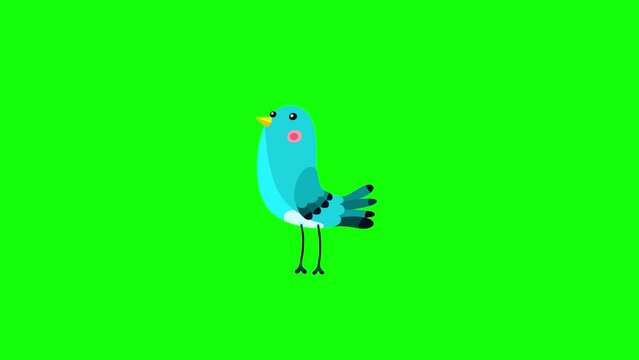 Nightingale bird blue cartoon animation character isolated stop walking. Animated bird character moves serie.
