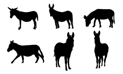 silhouettes of donkeys in different poses or collection of donkeys in silhouette style