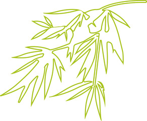 Obraz premium Bamboo leaf outline icon