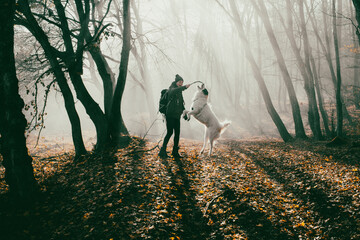 woman and dog strolling in beautiful foggy forest in autumn - 635790053