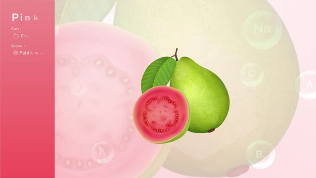 Guava Fruit and its Nutritional Properties with Minerals and Vitamins- Infographics Design