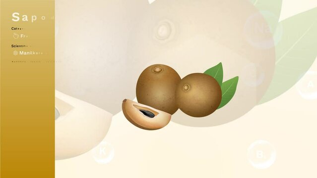 Sapodilla and its Nutritional Properties with Minerals and Vitamins- Infographics Design