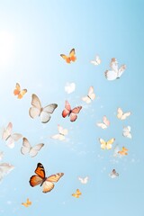 butterflies flying in the air