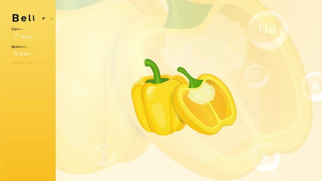 Yellow Bell Pepper and its Nutritional Properties with Minerals and Vitamins- Infographics Design