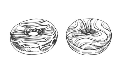 A hand-drawn sketch of a set of donuts. Vintage illustration.  Pastry sweets, dessert. Element for the design of labels, packaging and postcards.
