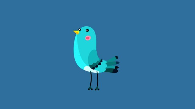 Nightingale bird blue cartoon animation character isolated stop walking. Animated bird character moves serie.
