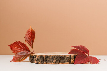 Empty wooden product podium with autumn leaves on brown and white background. Podium for design,...