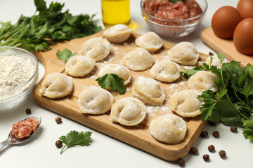 Cooking home food concept with raw dumplings