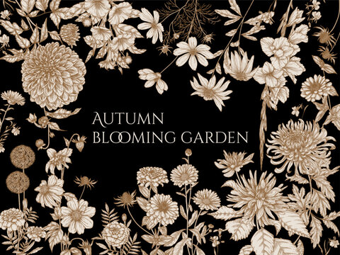 Vector frame autumn garden. Dahlia, cosmos, zinnia, marigold, calendula, rudbeckia, gladiolus, datura, eryngium, allium, chrysanthemum, lobelia in engraving style