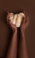 Top down view of lion mane mushroom in dark skined woman hands on studio dark brown background © BooFamily