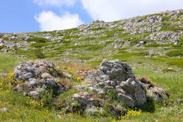 blocks of stone on a mountain slope with grass and flowers against a sky with bolaks and a slope with stones during the day in Europe