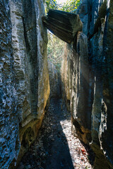 Narrow path between rocks in Petit Tsingy de Bemaraha, Strict Nature Reserve located near the western coast of Madagascar. UNESCO World Heritage.. Madagascar amazing wilderness landscape