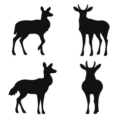 Antelope silhouettes and icons. Black flat color simple elegant Antelope animal vector and illustration.