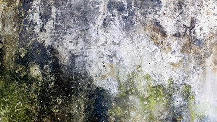 old wall overgrown with moss