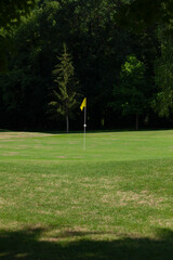Obraz premium Yellow flag pole on green golf course with trees in background 