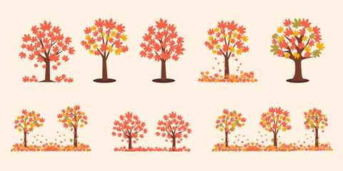 Maple trees with turned red leaves for autumn season design concept.