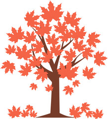 Beautiful maple trees with falling turned red leaves for autumn season design concept.