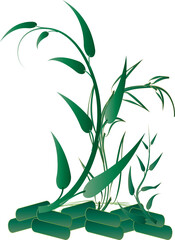 Flower botany aesthetic plants for decorative abstract backgrounds