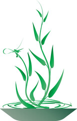 Flower botany aesthetic plants for decorative abstract backgrounds