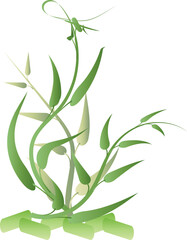 Flower botany aesthetic plants for decorative abstract backgrounds