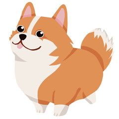 Corgi dog