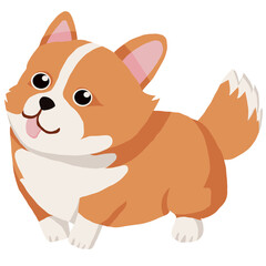 Corgi dog