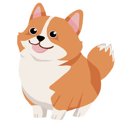 Corgi dog
