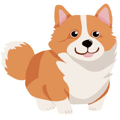 Corgi dog