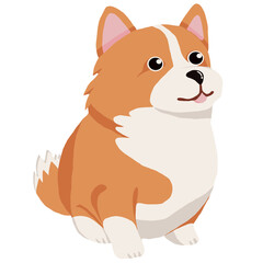 Corgi dog