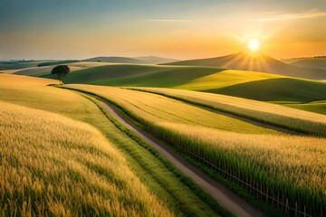 Fototapeta premium A peaceful countryside fields of wheat generated by AI tool