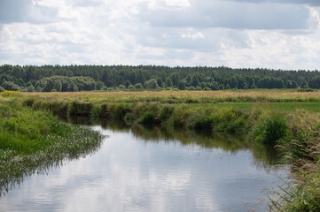 Rzeka Narew, Podlasie, Polska